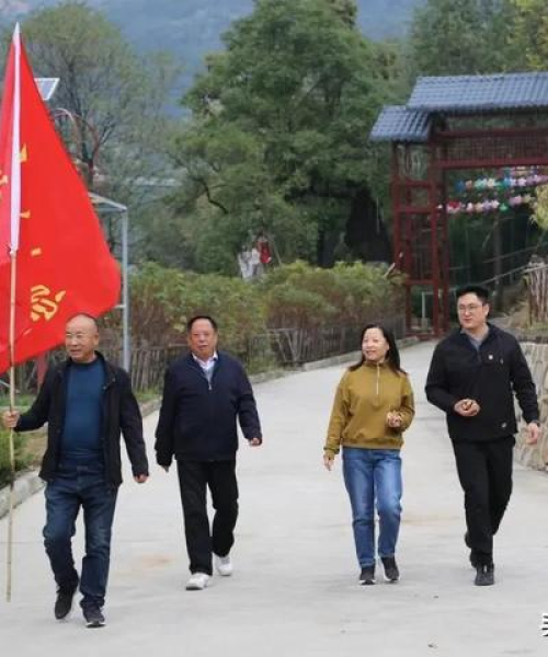 步登高村掀起乡村振兴新浪潮，新闻头条揭秘新篇章