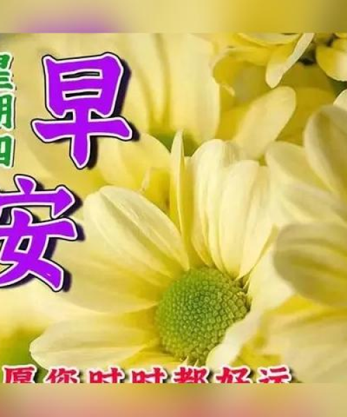 励志早安语录，开启一天的无限动力源泉