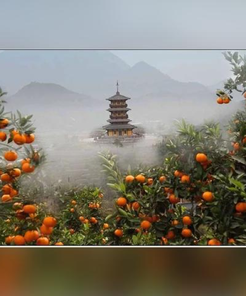 台州摄影公司排名揭秘，探寻专业摄影行业巅峰之选