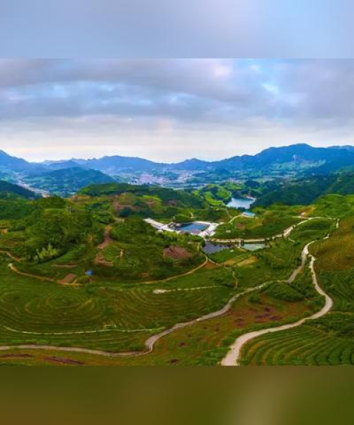 福鼎春节旅游攻略，海滨城市的魅力探索！